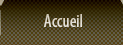 Accueil